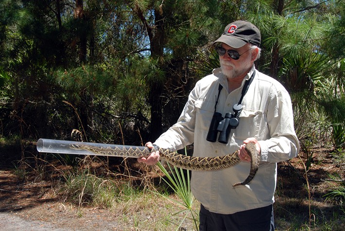 Harry Greene and Eastern Diamond-backed Rattlesnake, GA.