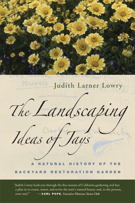Book cover for The Landscaping Ideas of Jays. Above: A photo of dense plants with bright yellow flowers tipped in cream. Text is olive green black slate blue or white with the title in italics. Background is cream with faint handwritten words and an olive green band at the bottom.