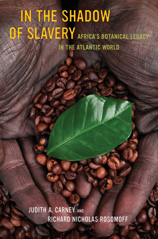 Book cover for In the Shadow of Slavery. A close-up photo extends to all edges showing a top-down view of dark-skinned cupped hands holding roasted coffee beans topped with a single green leaf against a background filled with coffee beans. Text is white yellow or muted olive green.